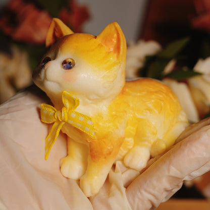 Butterkitty